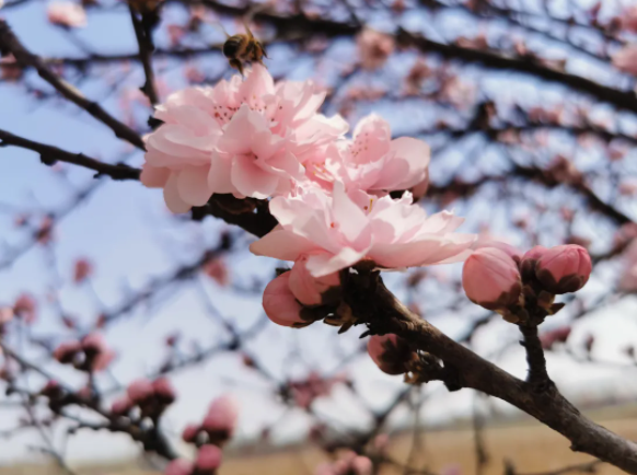 131618275480163134.png 2.png