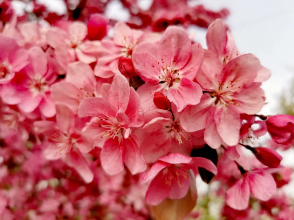 131618275491906607.png 3.png