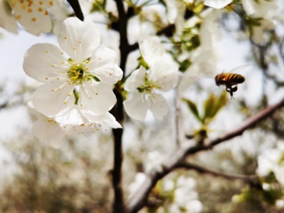 131618275502763725.png 4.png