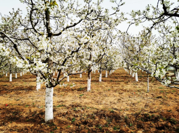 131618275512311813.png 5.png