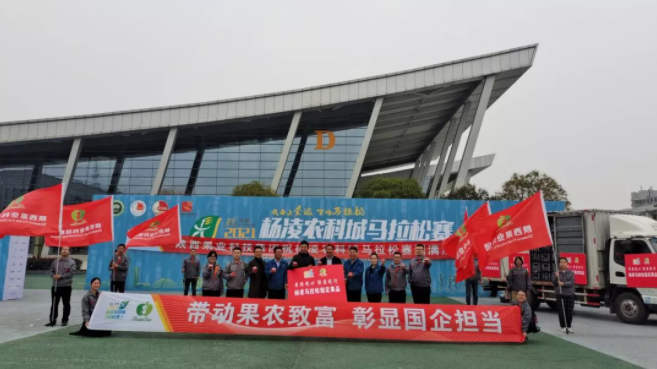 131618276990498104.png 1.png