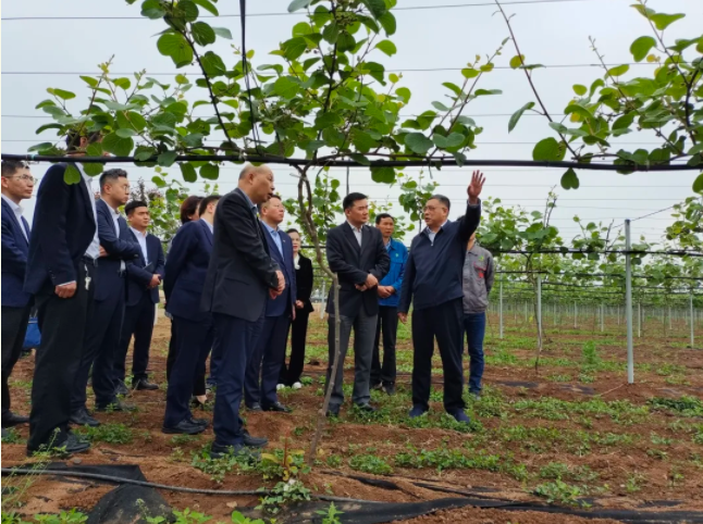 231619139847517637.png 11.png