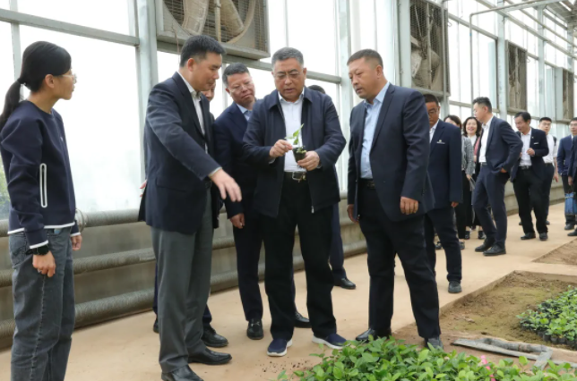 231619139865173335.png 33.png