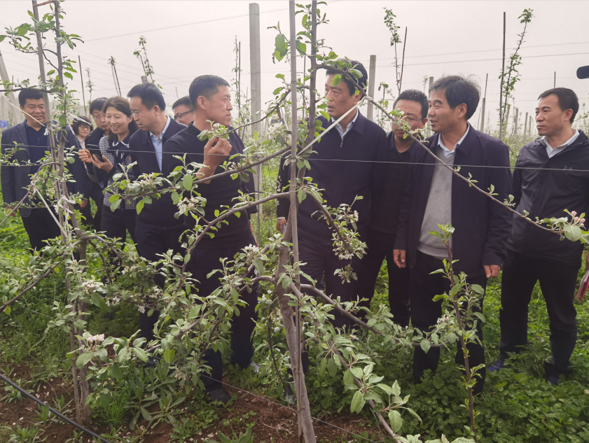 281619571115742019.png 1.png