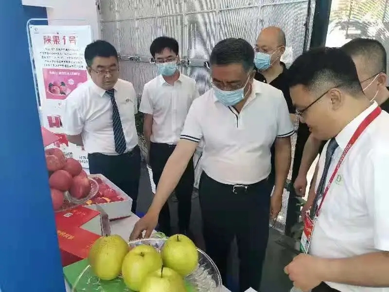 111620696825140212.jpeg 11.webp.jpg