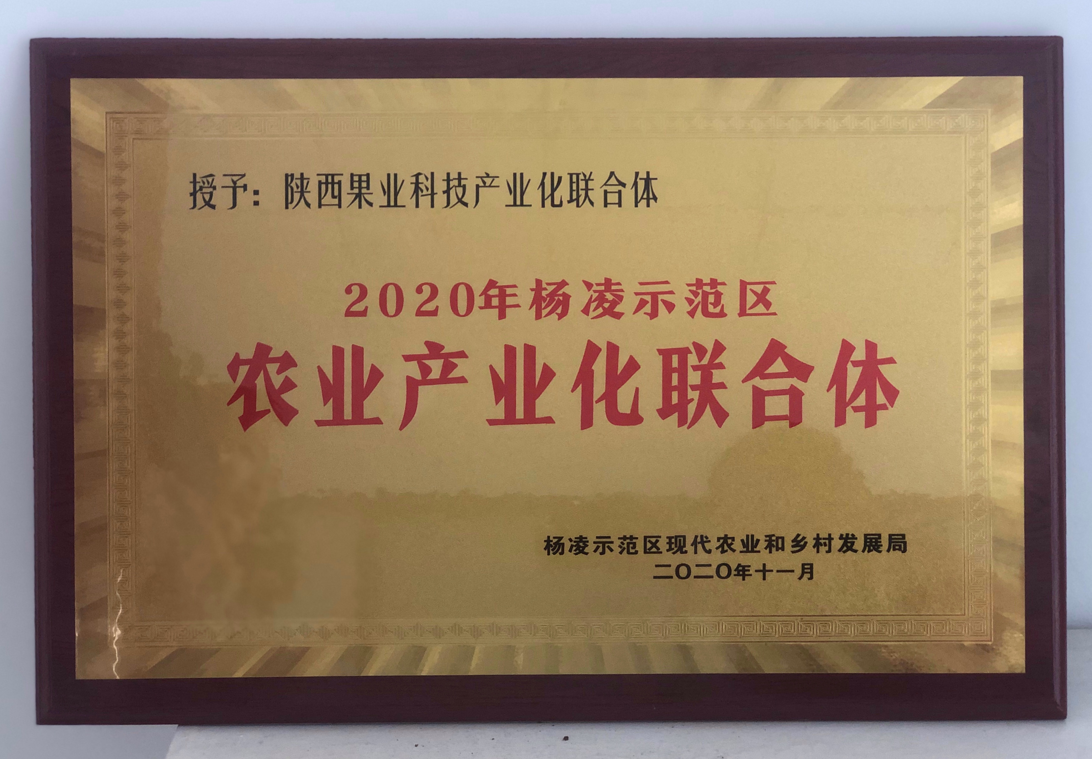 271622075423645717.jpeg 17346cfa094e0b07228795cc27f732b.jpg