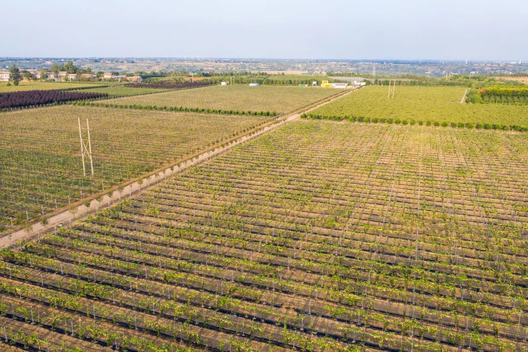 271622076022819943.jpeg 微信圖片_20210527083854.jpg