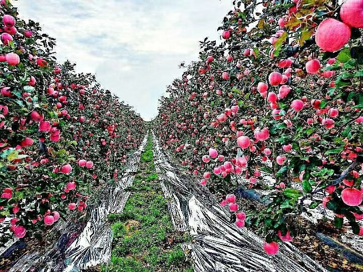 141626244769680433.jpeg 5.jpg