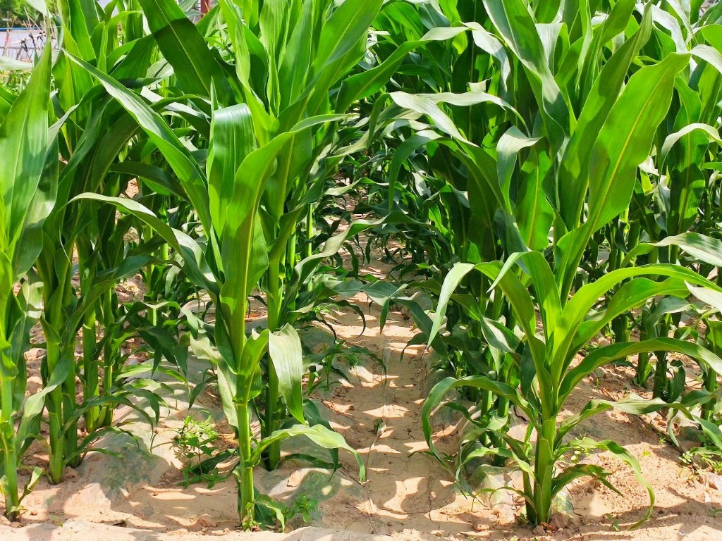 141626244781929728.jpeg 7.jpg