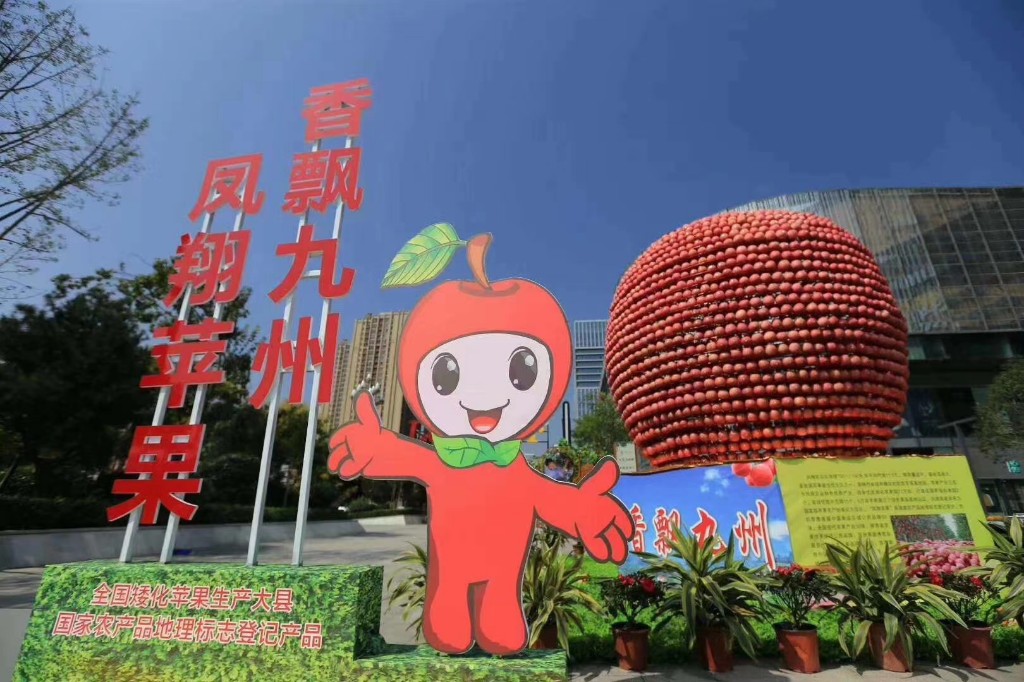 141626244792259708.jpeg 8.jpg