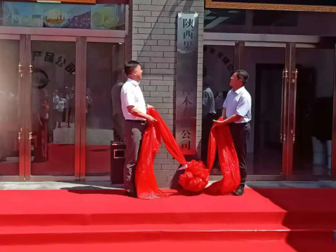 301627610896825965.png 2.png