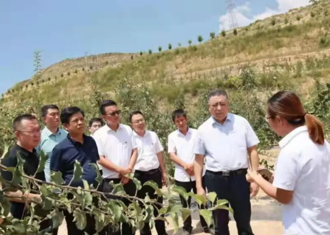 111628669654996455.png 2.png