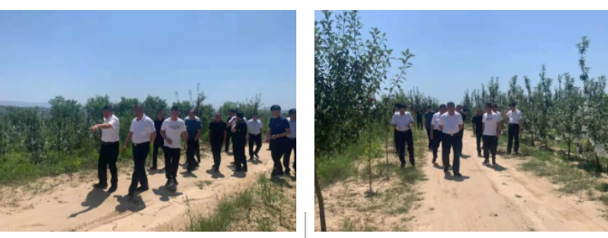 111628669714900302.png 6.png