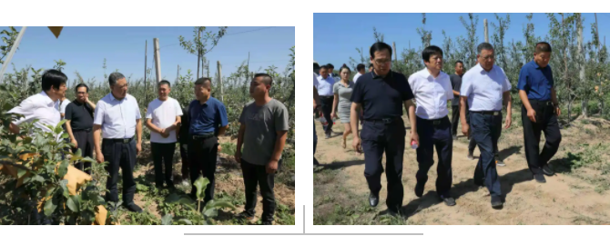 111628669725901238.png 7.png