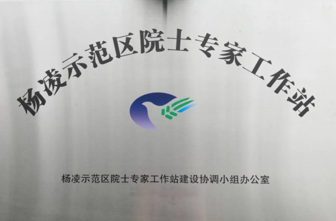 191629335092380041.png 1.png