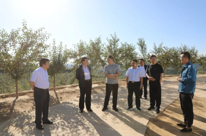 311630377154637224.png 1.png