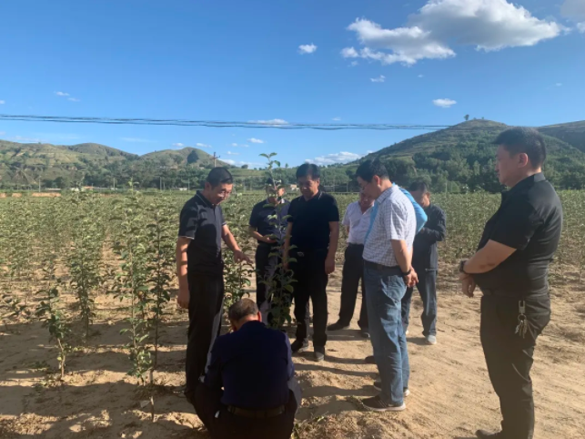 311630377852892744.png 11111.png