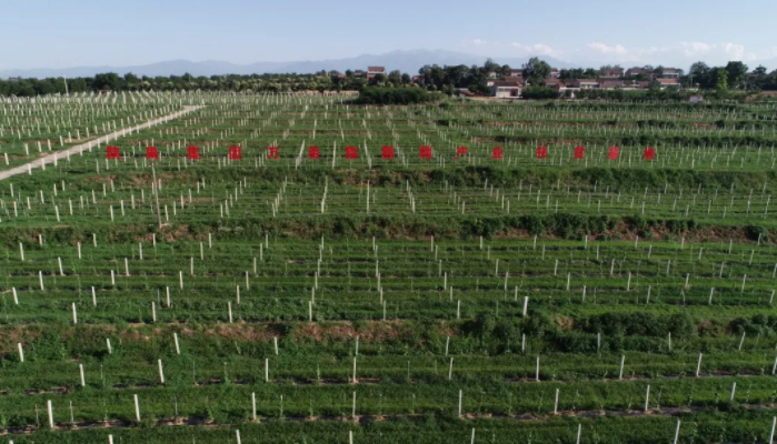 021635818933217702.png 微信圖片_20211102100849.png