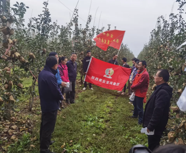 031635902387563573.png 微信圖片_20211103091950.png