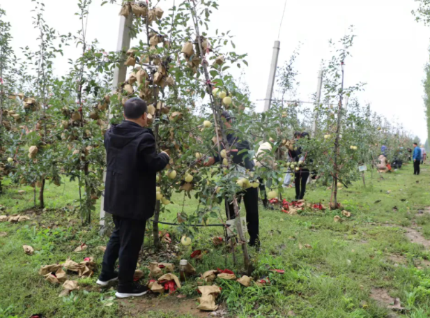 031635902395548397.png 微信圖片_20211103091954.png