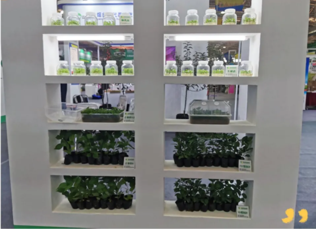 031635908016307607.png 微信圖片_20211103105320.png