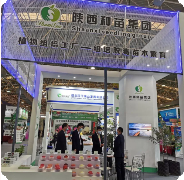 031635908371685386.png 微信圖片_20211103105946.png