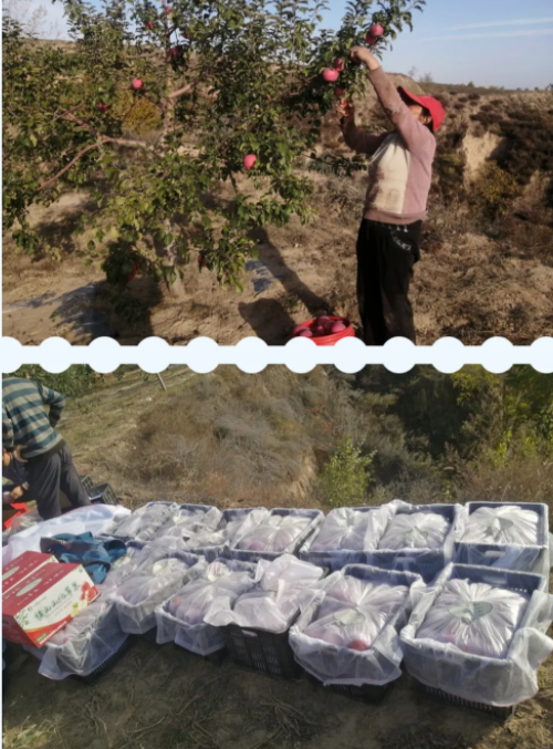 031635908741580175.png 微信圖片_20211103110550.png