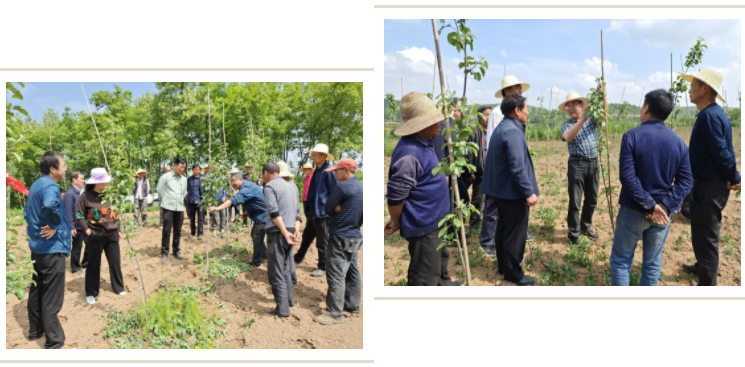 031635908994296144.png 微信圖片_20211103110958.png