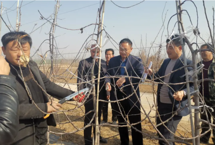 031635909377240977.png 微信圖片_20211103111551.png