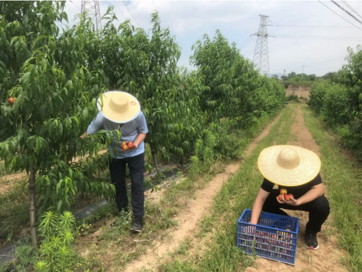 031635909386147517.png 微信圖片_20211103111608.png