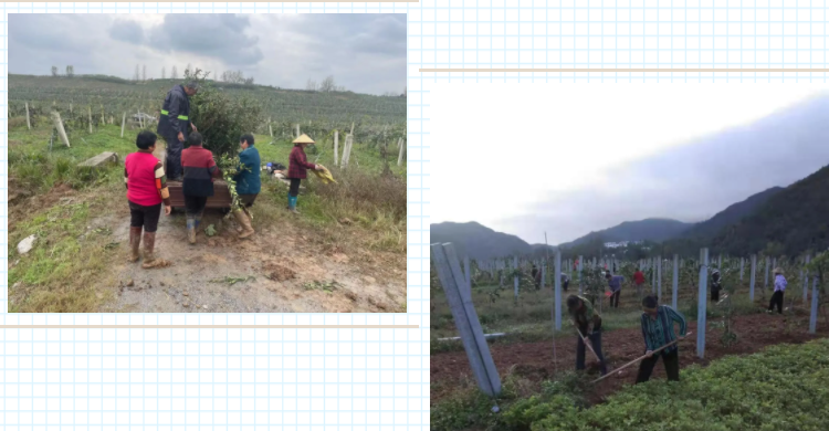 031635909522678951.png 微信圖片_20211103111851.png