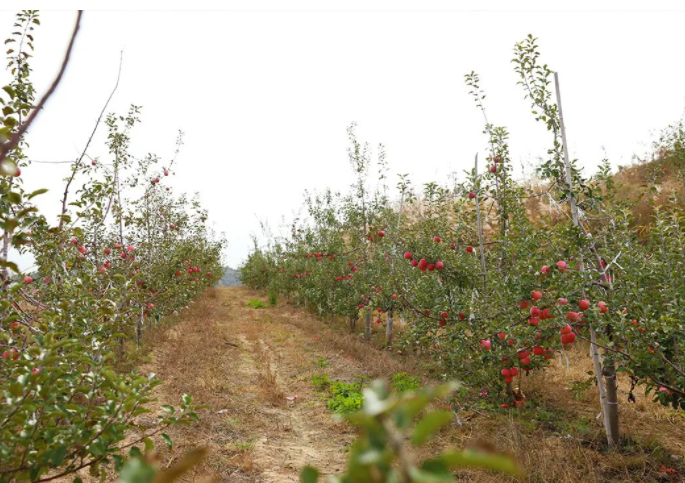 051636074809677426.png 微信圖片_20211105091227.png