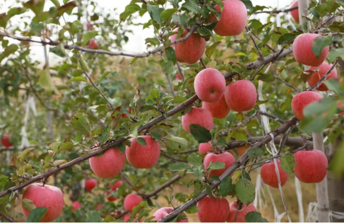 051636074821829354.png 微信圖片_20211105091244.png