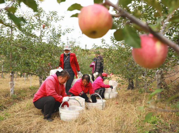 051636074837467788.png 微信圖片_20211105091259.png