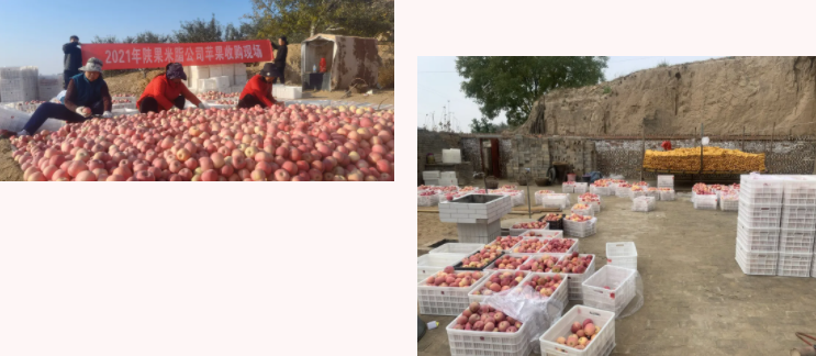 151636963092708329.png 微信圖片_20211115155800.png