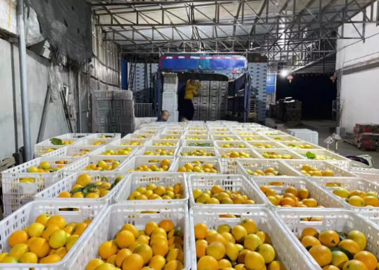 151636963635290654.png 微信圖片_20211115160650.png