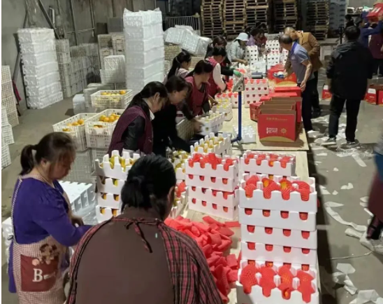 151636963643860417.png 微信圖片_20211115160703.png