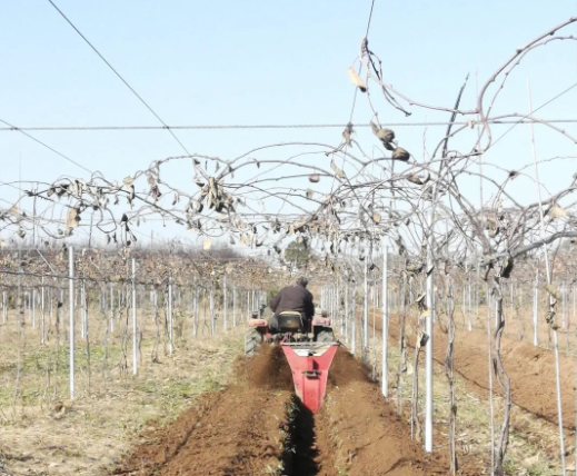 171637135764522902.png 微信圖片_20211117155550.png