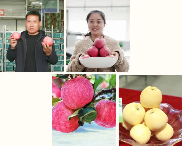 291638173932554817.jpeg 微信圖片_20211129161827.jpg