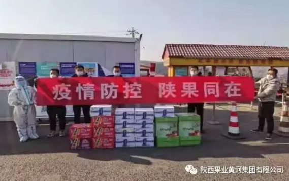 081644303014184407.png 11 11.png