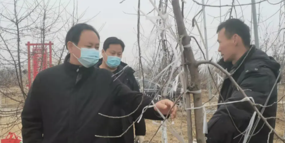 081644303739731979.png 微信圖片_20220208150154.png