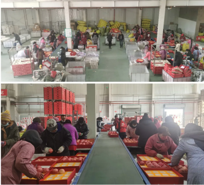 081644305695368166.png 微信圖片_20220208153419.png