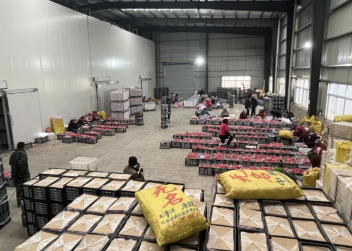 141644827615582612.png 微信圖片_20220214163316.png