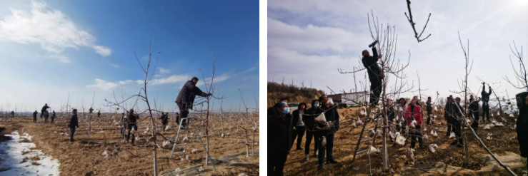 181645147208688384.png 微信圖片_20220218092006.png