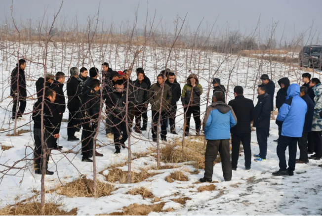 181645147360115974.png 微信圖片_20220218092243.png