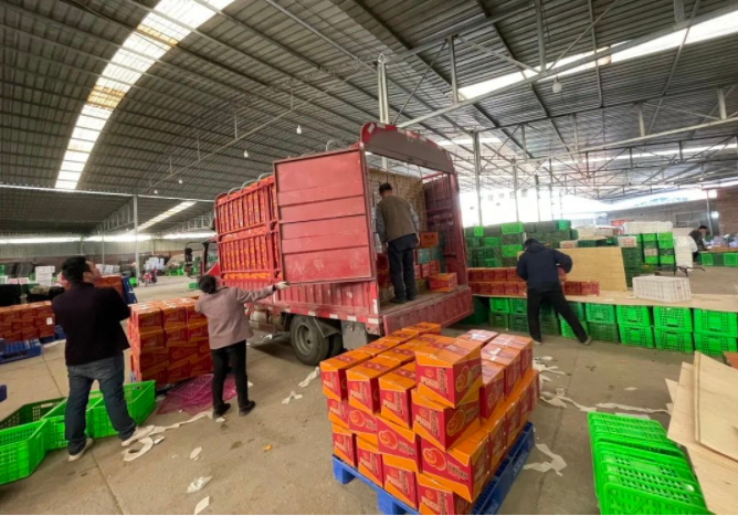 161647414706318713.png 微信圖片_20220316151127.png