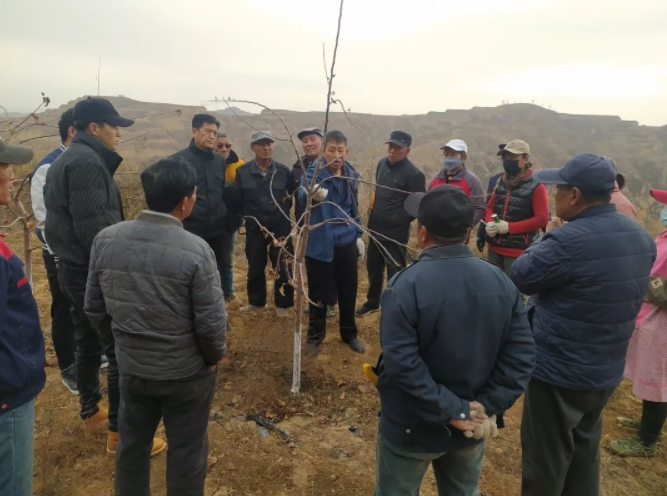 161647418536382682.png 微信圖片_20220316161530.png