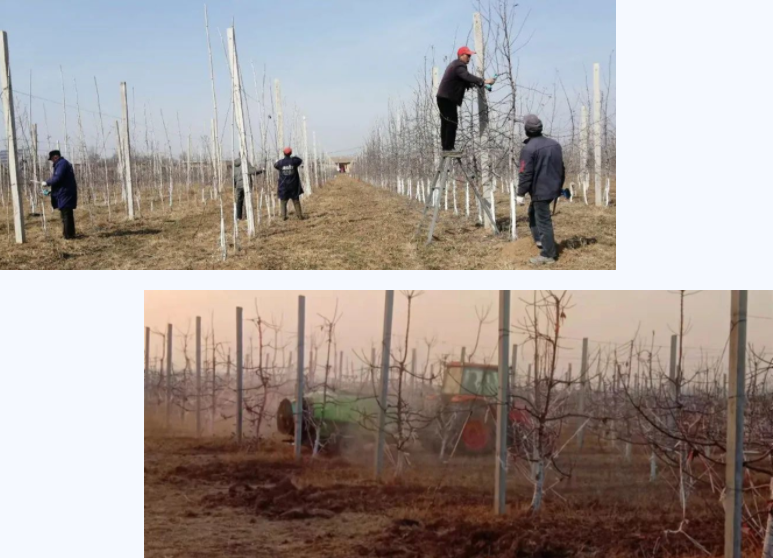 171647500588919133.png 微信圖片_20220317150257.png