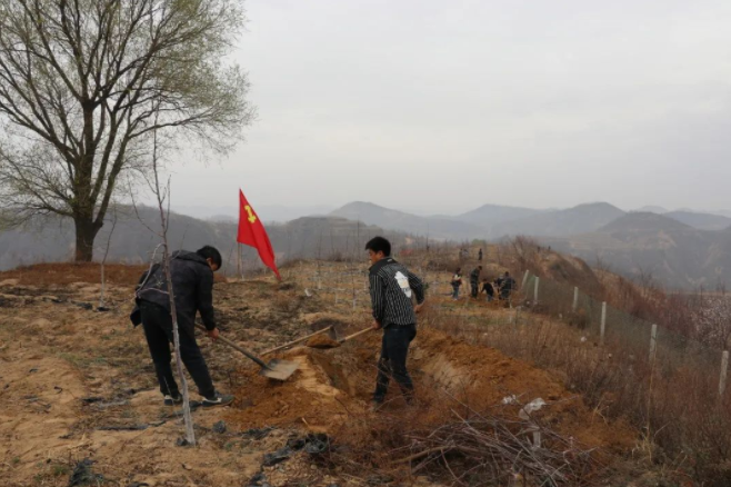 021659404070597431.png 1.png