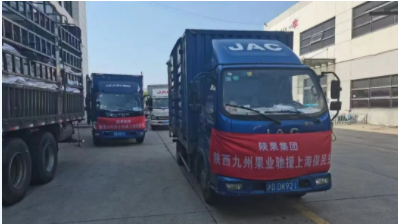 031659498090698329.png 3.png